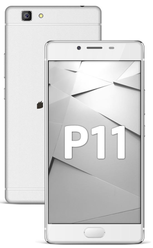 P11 